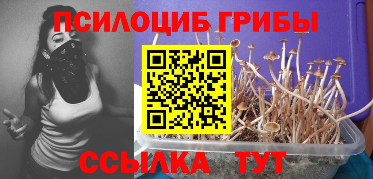 Псилоцибиновые грибы мицелий Россошь